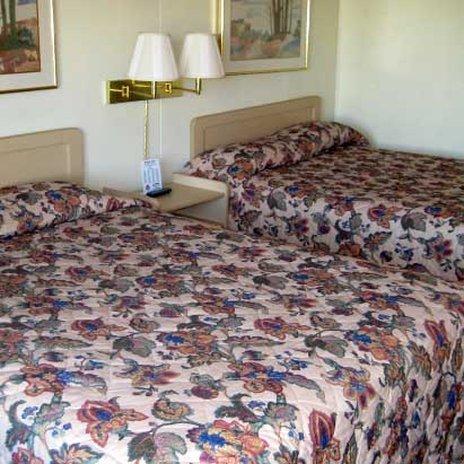 Plaza Inn Springfield Oda fotoğraf